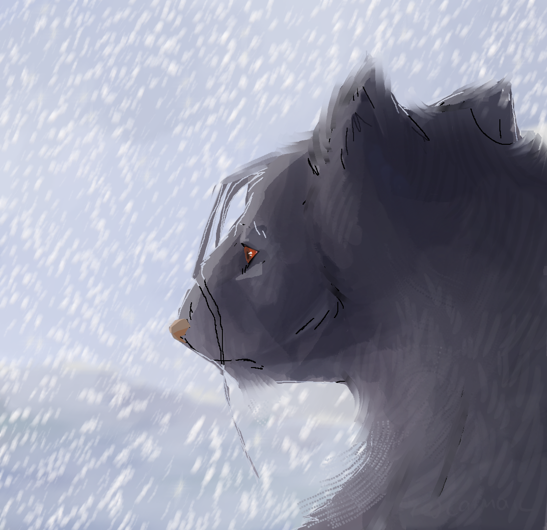 Waiting in the snow!